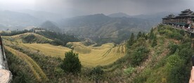龙脊梯田
