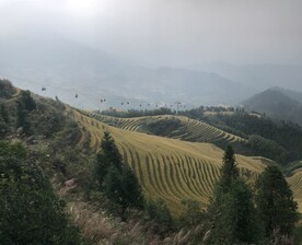 龙脊梯田