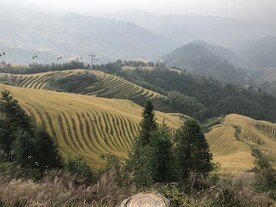 龙脊梯田
