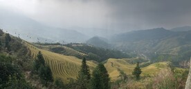 龙脊梯田