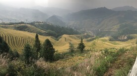 龙脊梯田