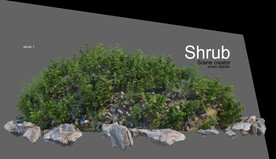   免扣植物素材图片