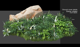  免扣植物素材图片