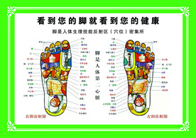 穴位图