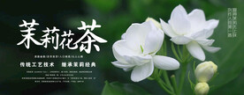 茉莉花茶