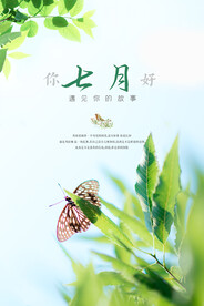 七月你好