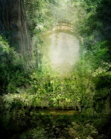 梦幻森林唯美