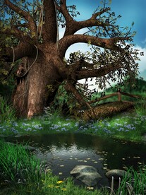 梦幻森林唯美