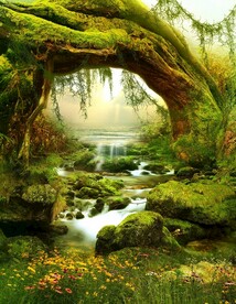 梦幻森林