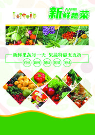 绿色有机蔬菜