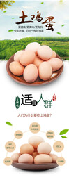 草鸡蛋 土鸡蛋