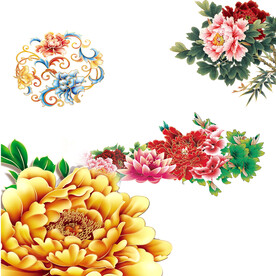 牡丹花