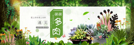 多肉