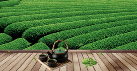 茶园