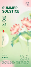夏至节气海报单图