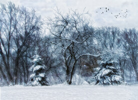 雪景 