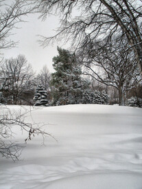 雪景