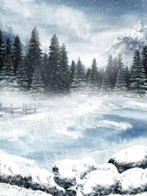 雪景