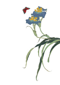 花鸟国画