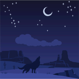 夜晚