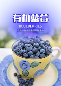 蓝莓海报