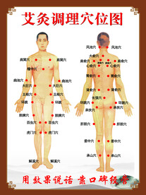人体穴位