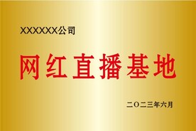 钛金牌