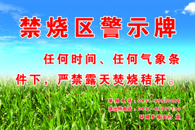 玉米地