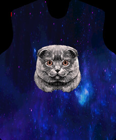 猫头