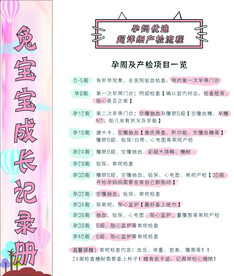 孕妈记录册
