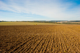 乡村蔬菜 地麦田 稻田  素材