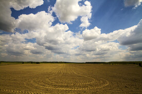 乡村蔬菜 地麦田 稻田  素材