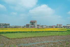 农田图片乡村蔬菜地麦田稻田自然