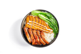 鸡排烧鸭套餐饭