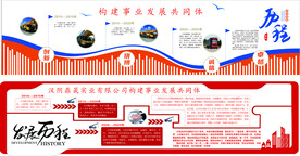 发展历史