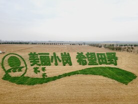 小岗村