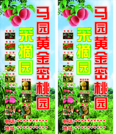 果园采摘园