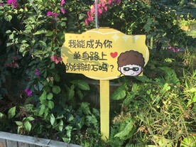 土味情话牌子