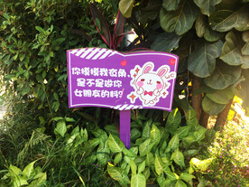 土味情话牌子