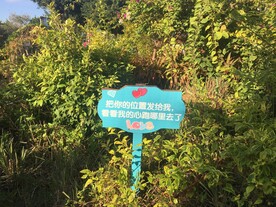 土味情话牌子