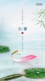 小暑荷花背景