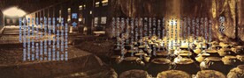 白酒海报设计图片