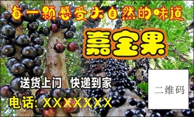 嘉宝果