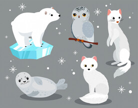 北极动物插画