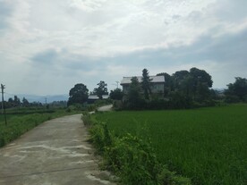 乡间道路