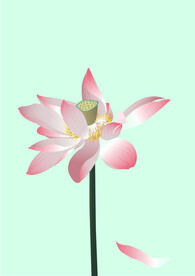 咏荷