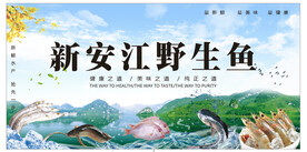 新安江野生鱼