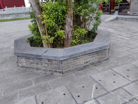 花坛花池