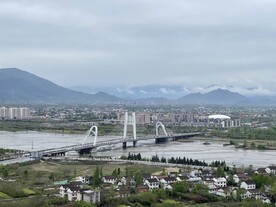 四号桥村景