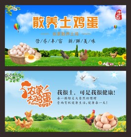 农家土鸡蛋